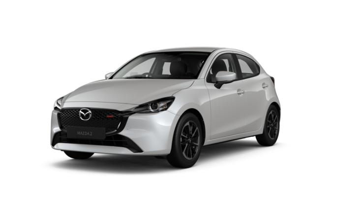 Snowflake White Pearl Mica