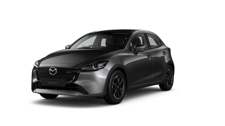 Machine Grey Metallic