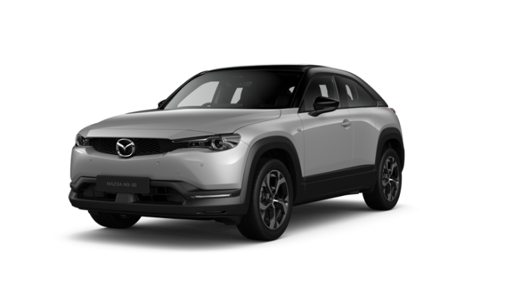 Ceramic Metallic with Black Side Panels and Roof