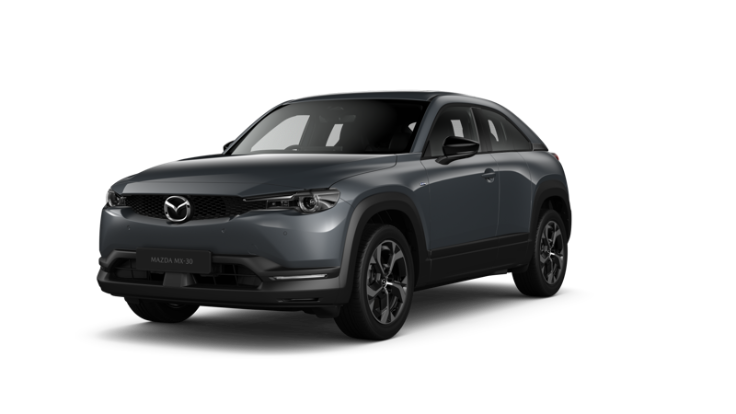 Polymetal Grey Metallic