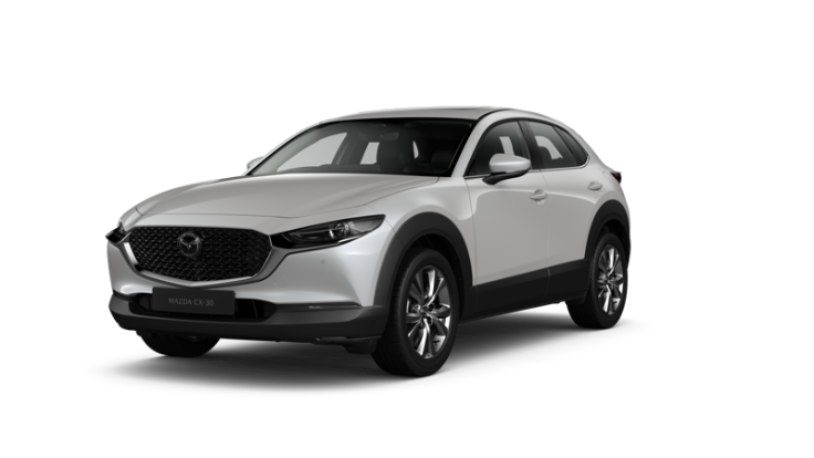 Snowflake White Pearl Mica